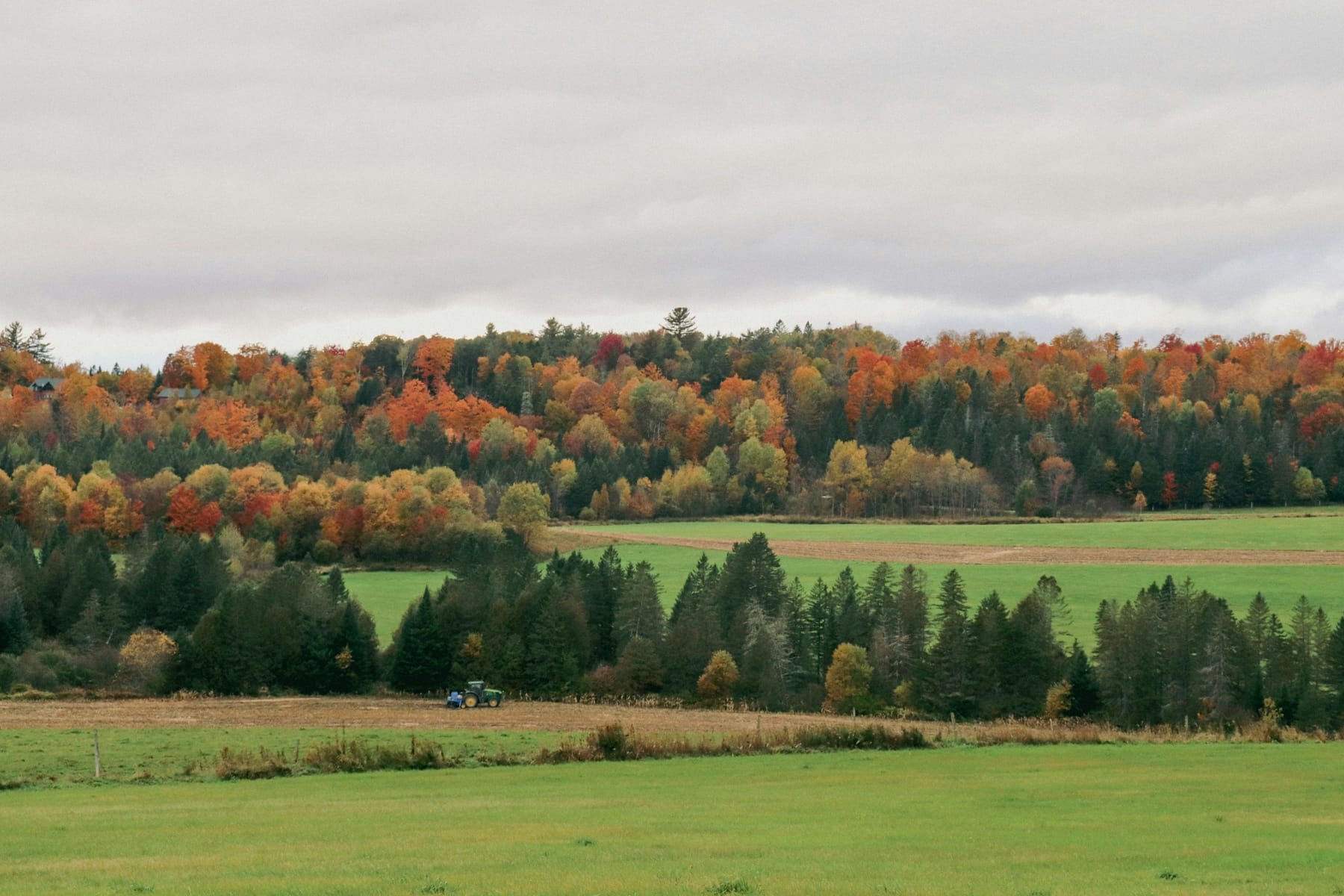 A mown hayfield running up to a wooded ridge under flat grey cloud, with a small tractor parked at the far edge.