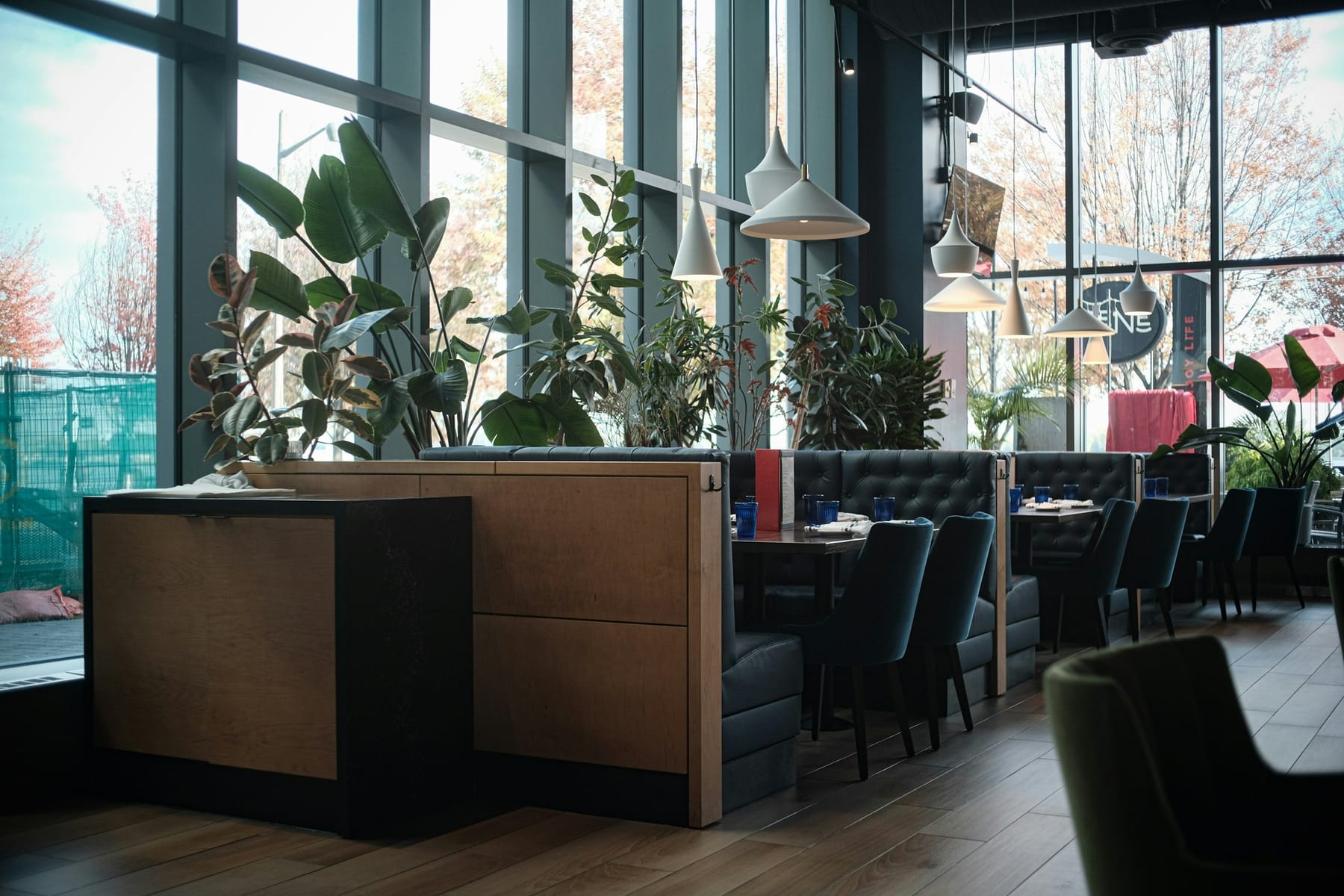 A bright dining room with booth seating, large windows and plants, no food on the tables.